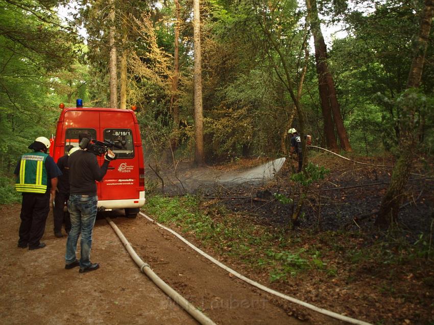 Waldbrand Bergisch Gladbach Bensberg P055.JPG